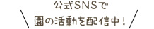 公式SNSで園の活動を配信中！
